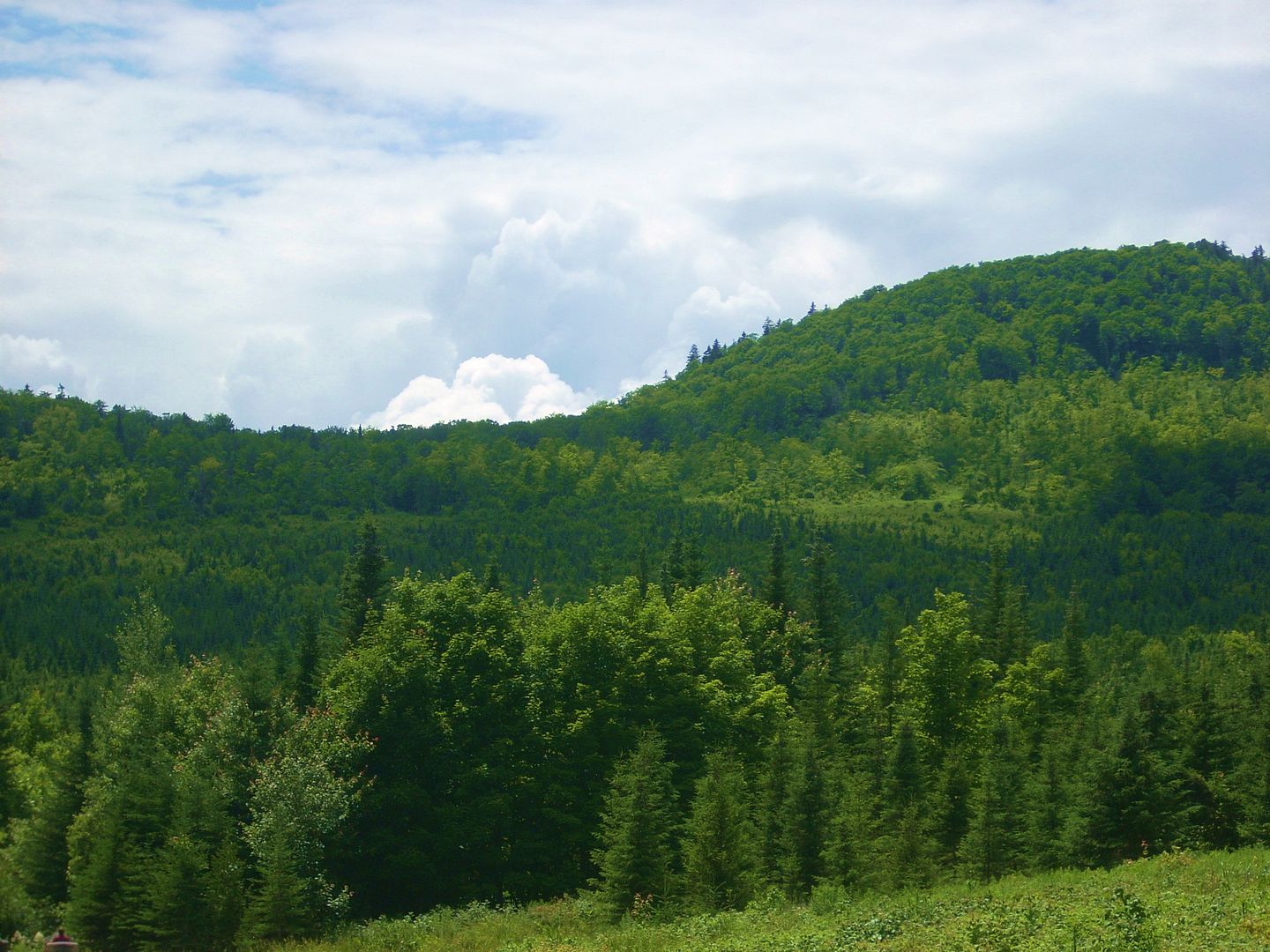 Jackman Maine Trail System Polaris ATV Forum